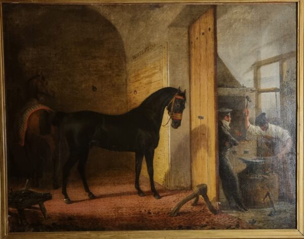 Waterloo black horse in the stables